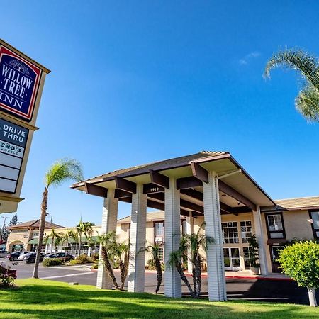 Willow Tree Inn Los Angeles- Near Stub Hub Center Compton Exteriör bild